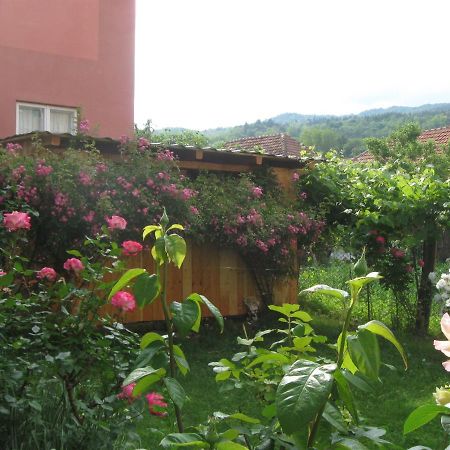 Hotel Casa Fabrizio Călimăneşti Exteriér fotografie