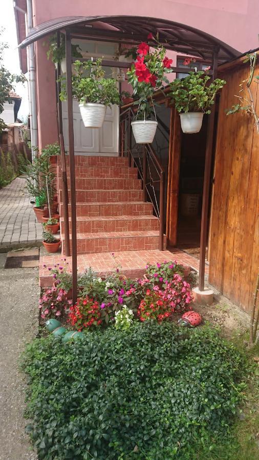 Hotel Casa Fabrizio Călimăneşti Exteriér fotografie