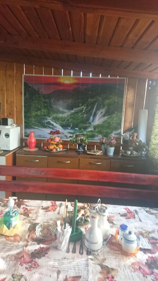 Hotel Casa Fabrizio Călimăneşti Exteriér fotografie